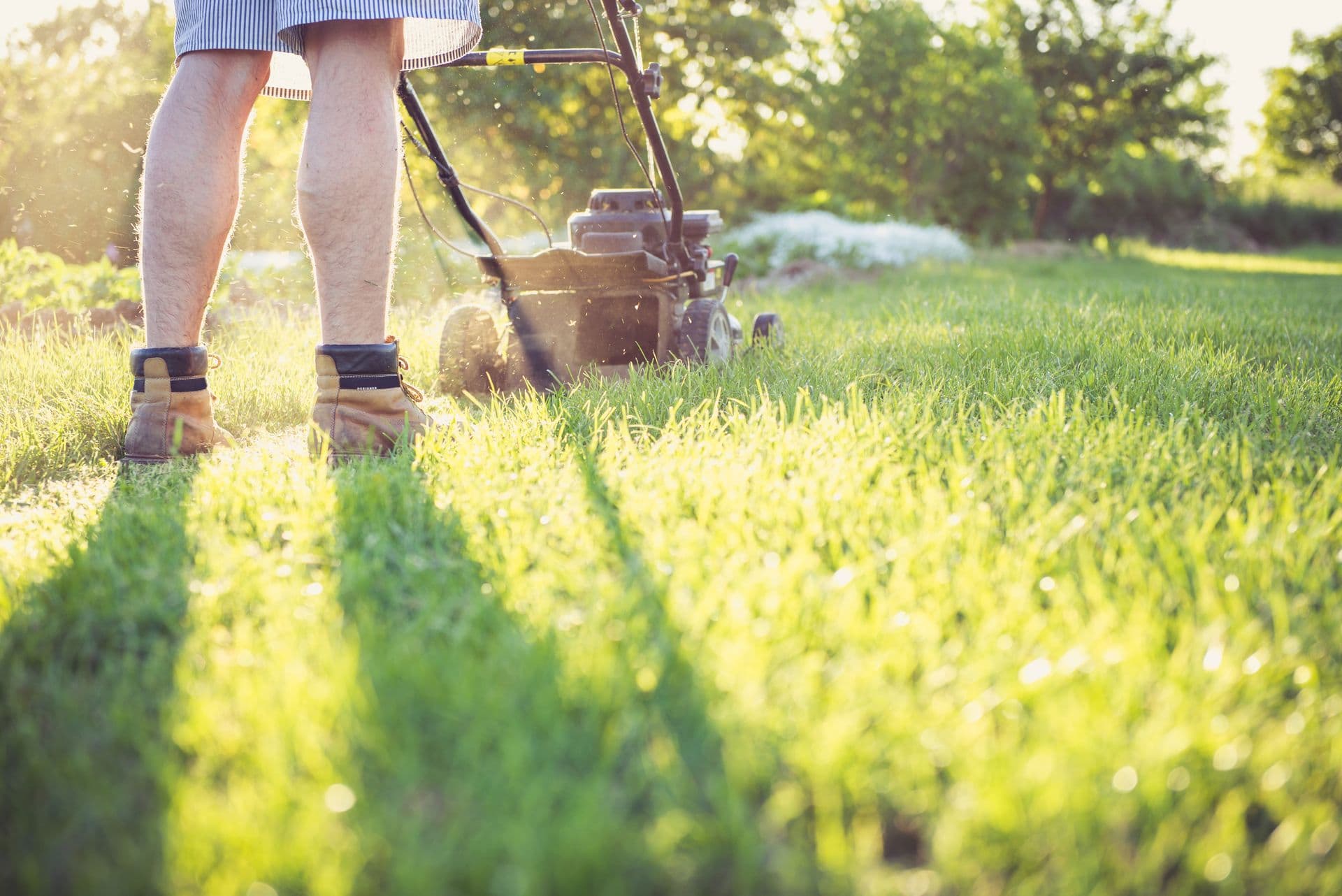 One System for Lawn Care and Snow Removal